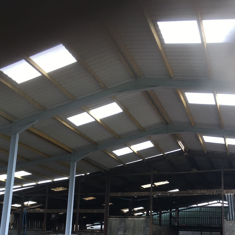 Agricultural Steel Building