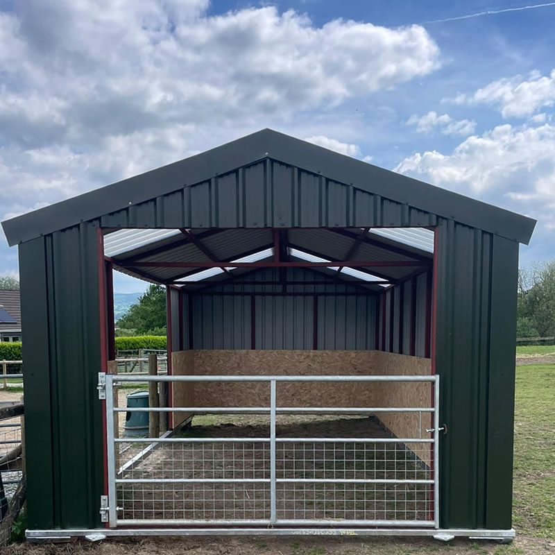 Steel Frame Workshop